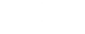 Twenty Twenty Grille- logo